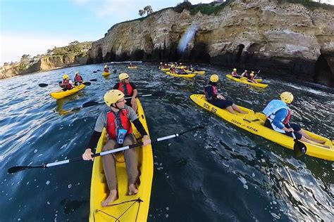 la jolla kayak tour|Kayak and Snorkel Tours in La Jolla & San Diego